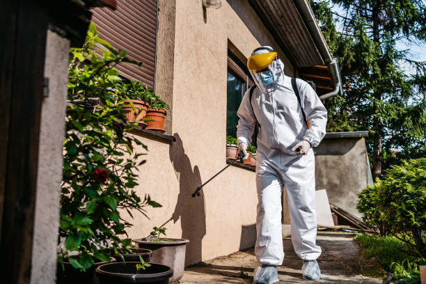 Best Pest Removal Services  in Lowellville, OH