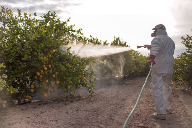 Best Best Pest Control Near Me  in Lowellville, OH