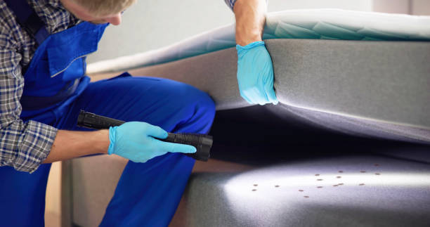 Best Local Pest Control Services  in Lowellville, OH