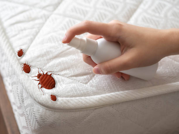 Best Affordable Pest Control Services  in Lowellville, OH