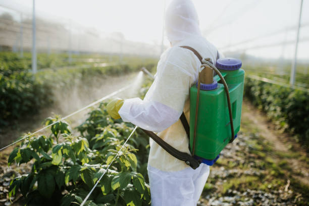 Best Pest Control Near Me  in Lowellville, OH